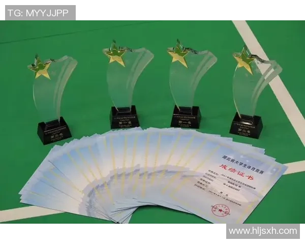 武汉羽毛球队与重庆羽毛球队赛后技术分析与战术总结