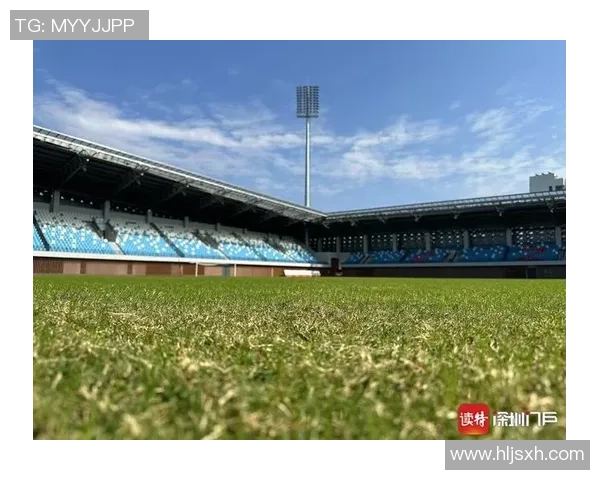 深圳羽毛球队实力解析：从训练到比赛的全方位剖析与展望