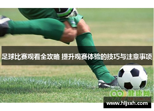 足球比赛观看全攻略 提升观赛体验的技巧与注意事项