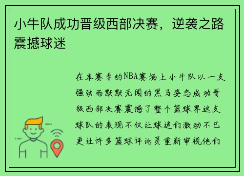 小牛队成功晋级西部决赛，逆袭之路震撼球迷